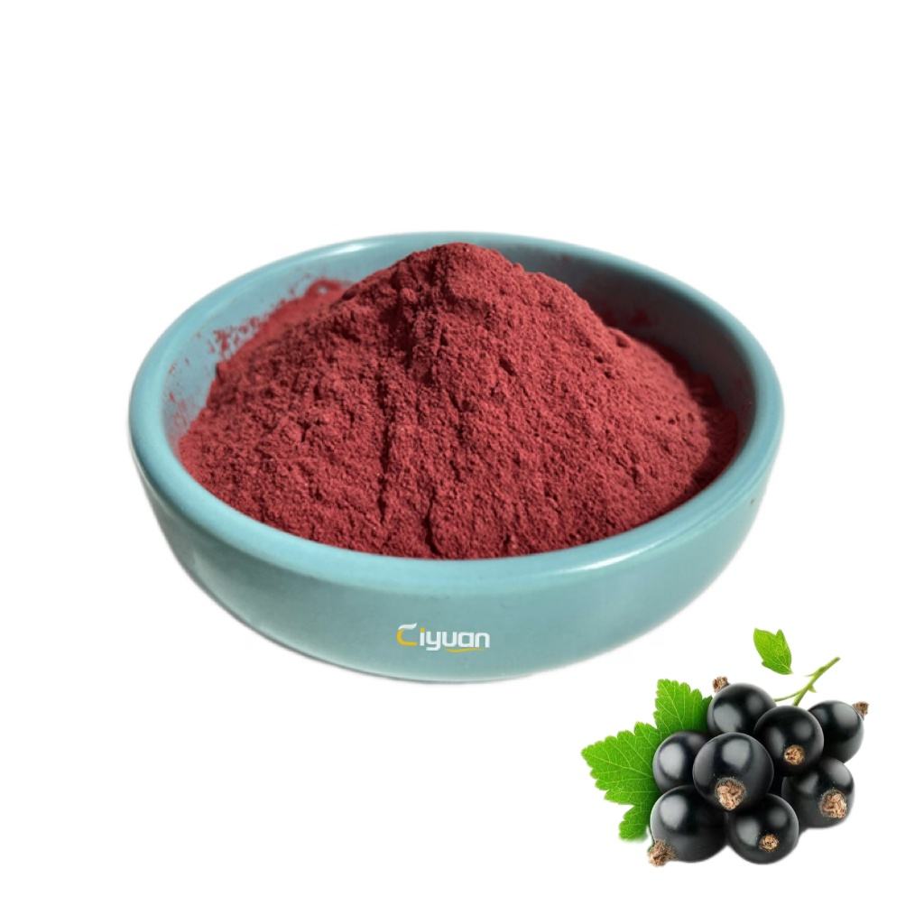Black Currant Fruit Extract